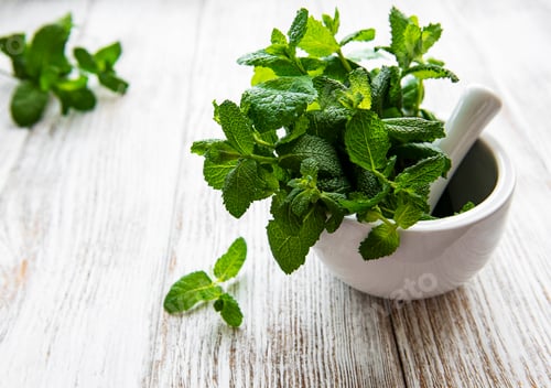 Preview: Fresh herbs
