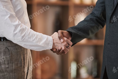 Preview: Business people shaking hands