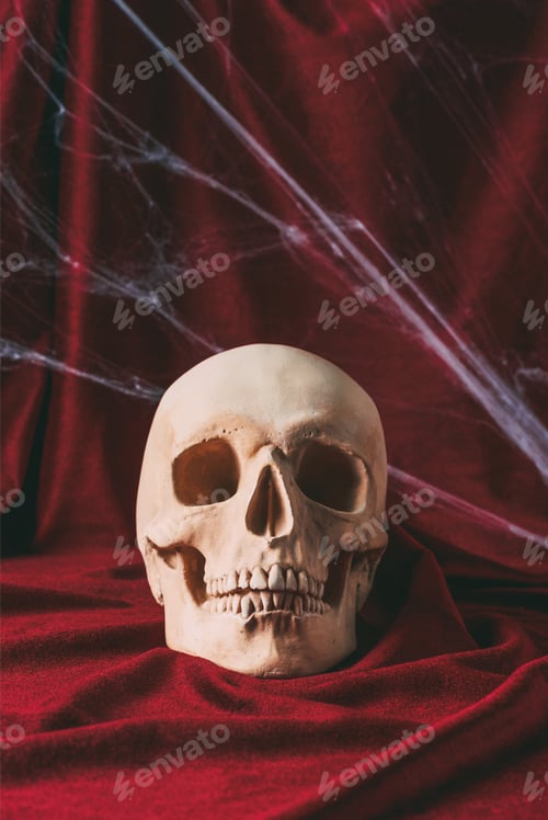 Preview: creepy halloween skull on red cloth with spider web