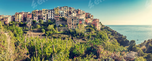 Preview: Corniglia in Cinque Terre, Italy with vineyards and terraces panorama