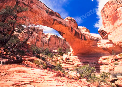 Preview: Sandstone Hickman Bridge Capitol Reef NP Utah USA