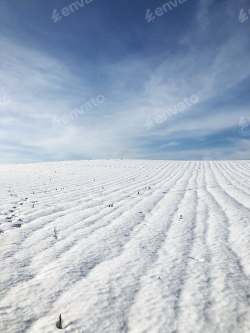Snow Covered Field Under a Blue Sky