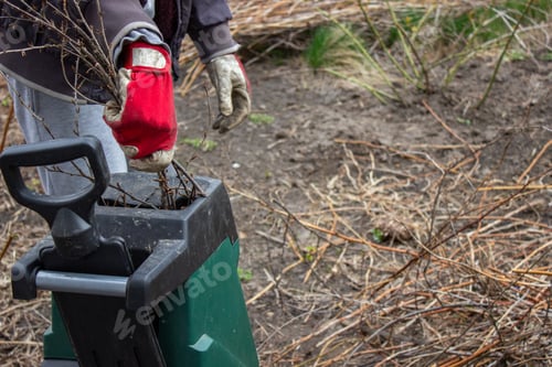 Preview: Work in the garden. Man cutting and crushing branches of trees and berry bushes. Selective focus