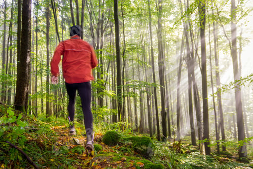 Preview: Fit, active man wearing a bright red jacket running up a lush, grassy hill in a sunlit forest