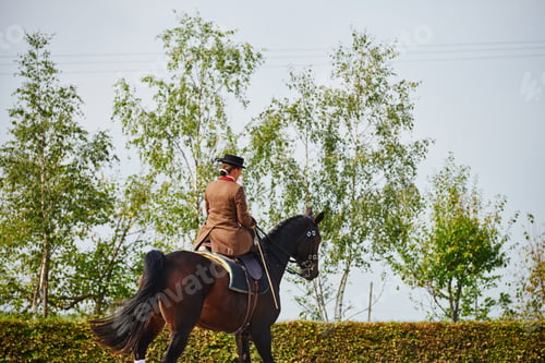 Preview: Female rider trotting while training dressage horse in equestrian arena