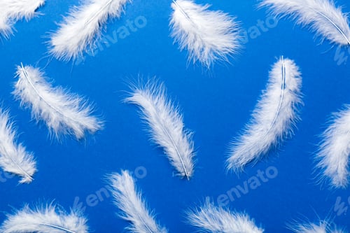 Preview: Close up to bright colorful feathers background. Colored feather background, top view
