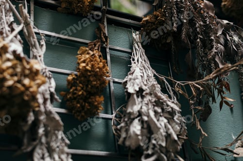 Preview: Dry herbs and leaves