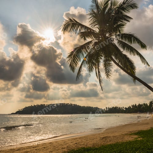 Preview: Mirissa Beach at sunset, sunstar behind a palm tree on the South Coast of Sri Lanka, Southern Provin