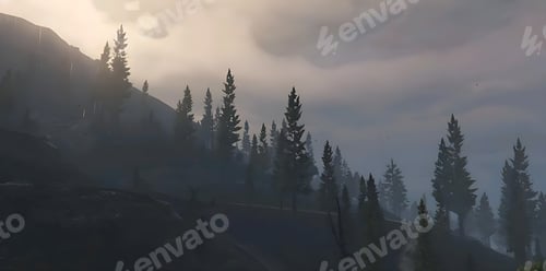 Preview: a car driving through a forest near tall pine trees on a cloudy day