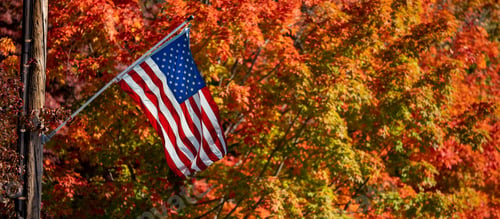 Preview: Panoramic shot of the flag of the United States of America on a blurry background of autumn trees