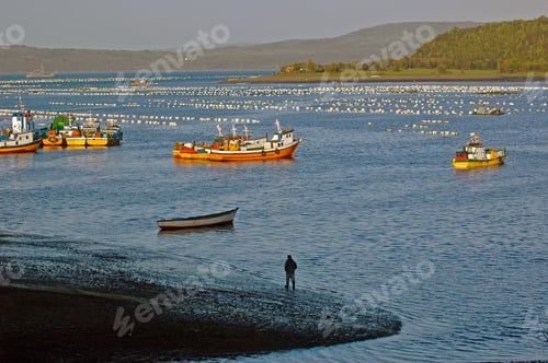 Preview: Male walking near the sea with boats in the distance