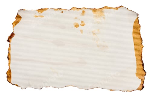 Preview: White torn piece of paper drenched in coffee on an isolated background