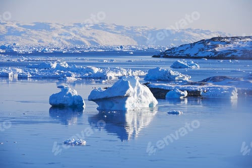 Preview: Arctic beauty