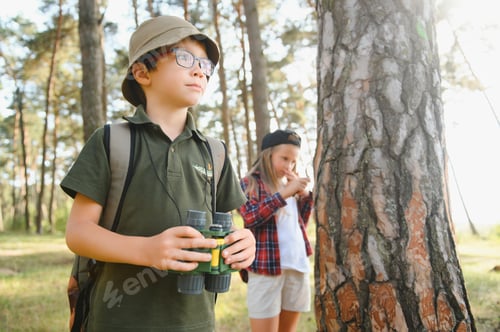 Preview: kids in green forest playing,concept of kids vacations and travel