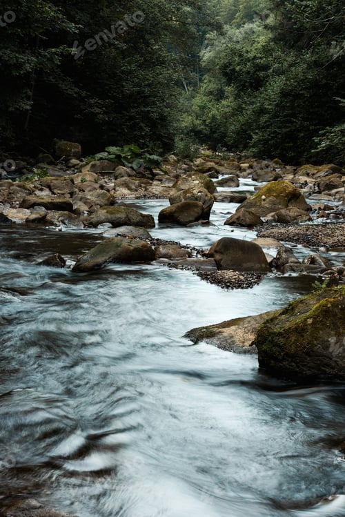 Preview: wet rocks near flowing brook and green trees in woods