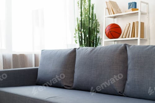 Preview: Grey sofa in modern living room with plants and rack