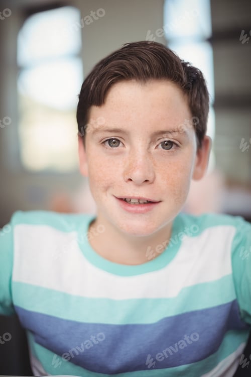 Preview: Portrait of smiling schoolboy in classroom