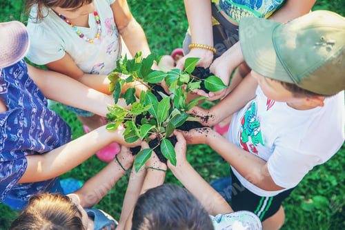 Preview: Children hold the earth and trees in their hands. Selective focus.