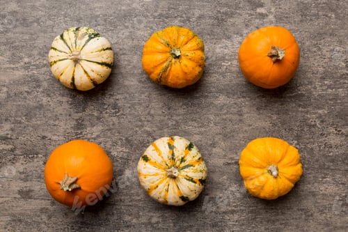 Preview: Autumn composition of little orange pumpkins on colored table background.
