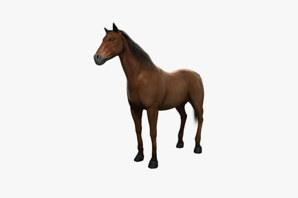 Preview: Horse in profile view