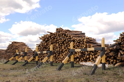 Preview: Side view of commercial timber, pine tree logs after clear cut of forest. uncontrolled deforestation