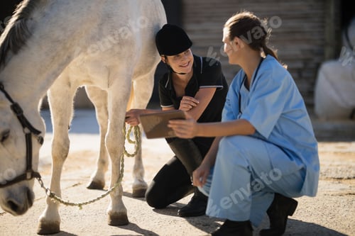 Preview: Female vet and jockey discussing while crouching by horse