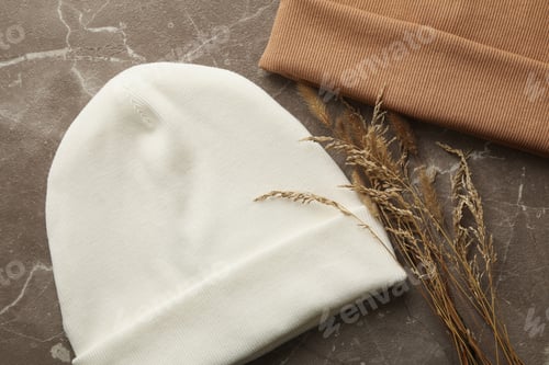 Preview: Stylish beanies and field plants on gray background