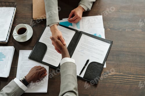 Preview: Caucasian Woman and Black Man Shaking Hands Concluding Business Agreement