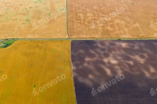 Preview: Aerial top view drone photography of a land with sown green fields in countryside