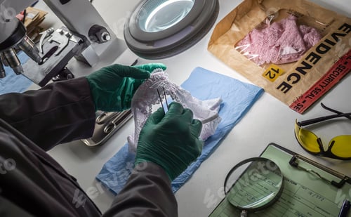 Preview: Police scientist inserts rape victim's hair into vial for crime lab DNA research, conceptual image