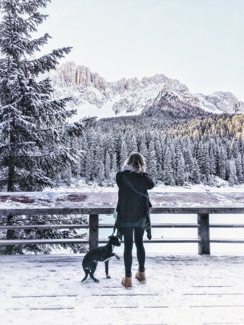 Preview: Woman and Dog Enjoying a Snowy Mountain View