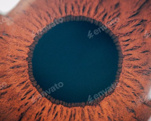 Preview: Extreme close up or Marco photo of brown iris useful for ophthalmology or optometry imagery