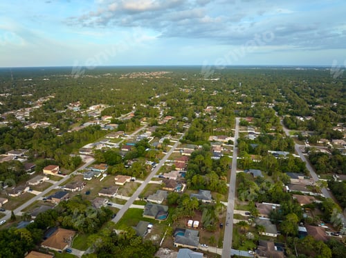 Preview: Aerial landscape view of suburban private houses between green palm trees in Florida rural area