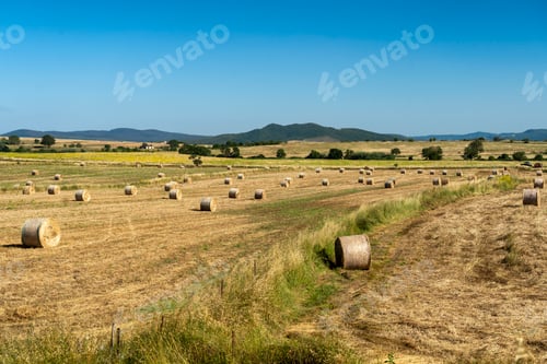 Preview: Rural landscape near Tuscania, Lazio