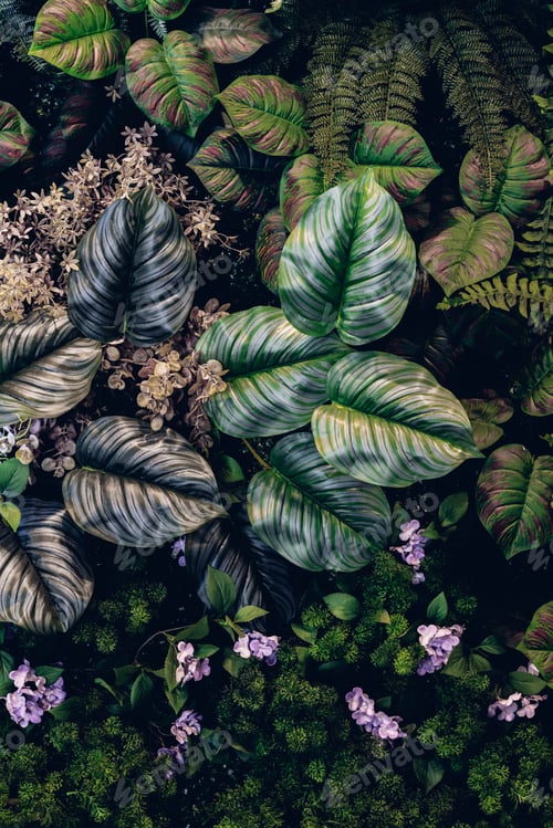 Preview: Herb wall, plant wall, natural green wallpaper and background. nature wall.