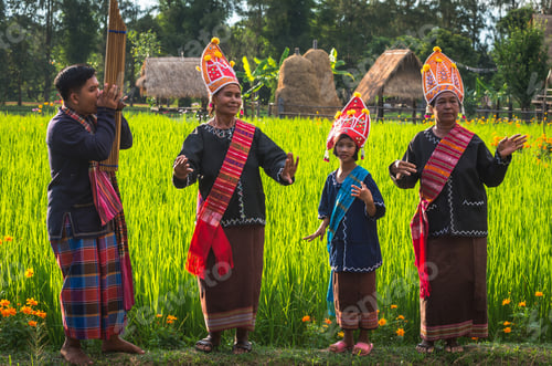 Preview: traditional farmers are showing on the rice field