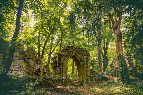 Preview: Old castle ruins