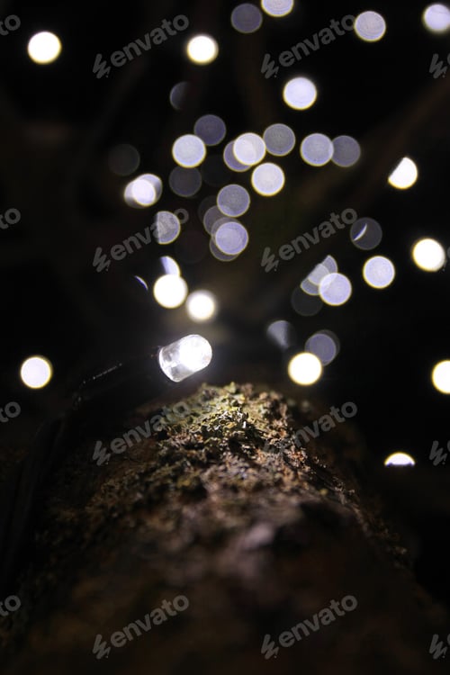 Preview: Christmas Lights Bokeh