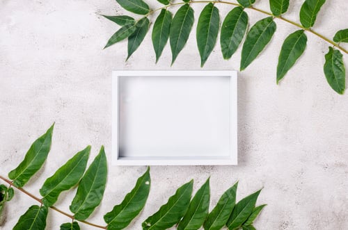 Preview: Empty white card with grassy foliage on textured background.