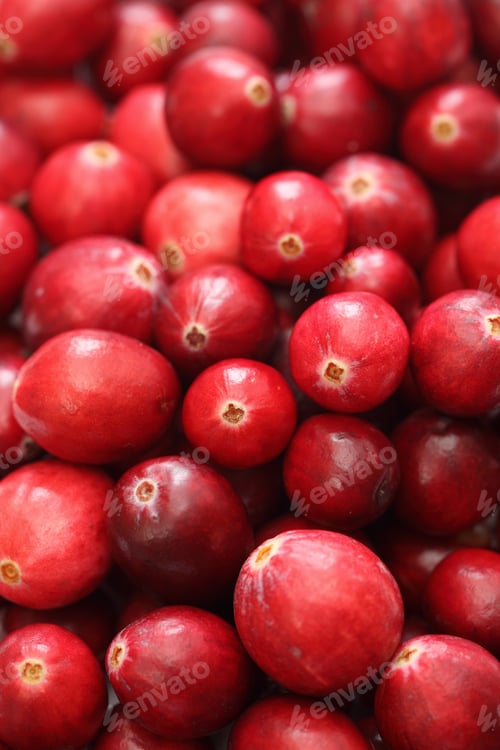 Preview: Cranberry close-up