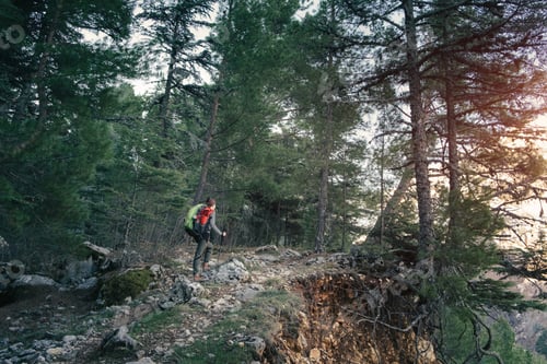 Preview: Hiker trekking through the forest on the Lycian trail to Tahtali