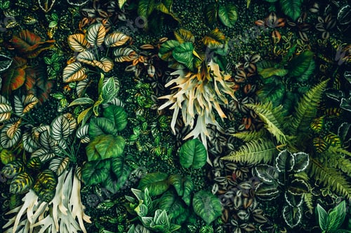 Preview: Close up group of background tropical green leaves texture and abstract background.