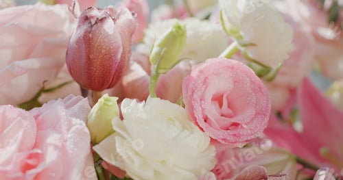 Preview: Beautiful flower bouquet at home