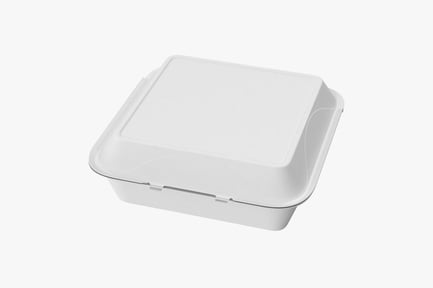 Preview: Closed Styrofoam Food Container