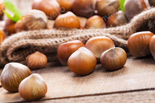 Preview: Fresh hazelnuts scattered on a wooden surface with natural textures