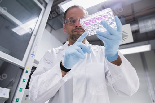 Preview: Scientist attentively examining a cell culture in a lab.