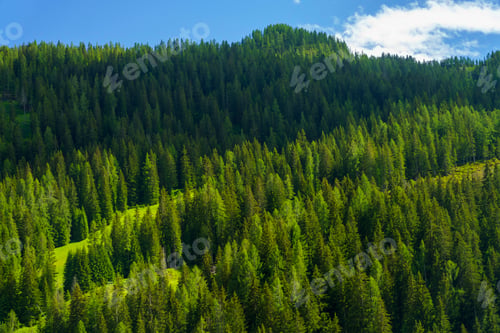 Preview: Mountain landscape along the road to Forcella Staulanza at Selva di Cadore, Dolomites