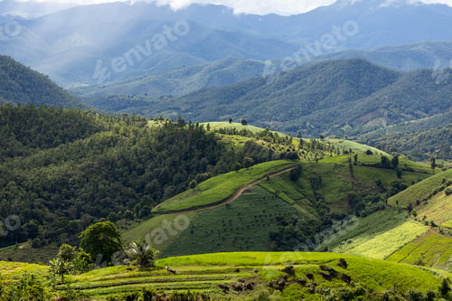 Preview: rice field at Mae Cham Chiangmai Northern Thailand