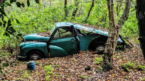 Preview: Abandoned car in the woods