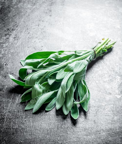 Preview: Bunch of fresh salvia.
